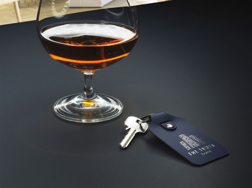 Logotrade promotional merchandise image of: Keyring 1200094